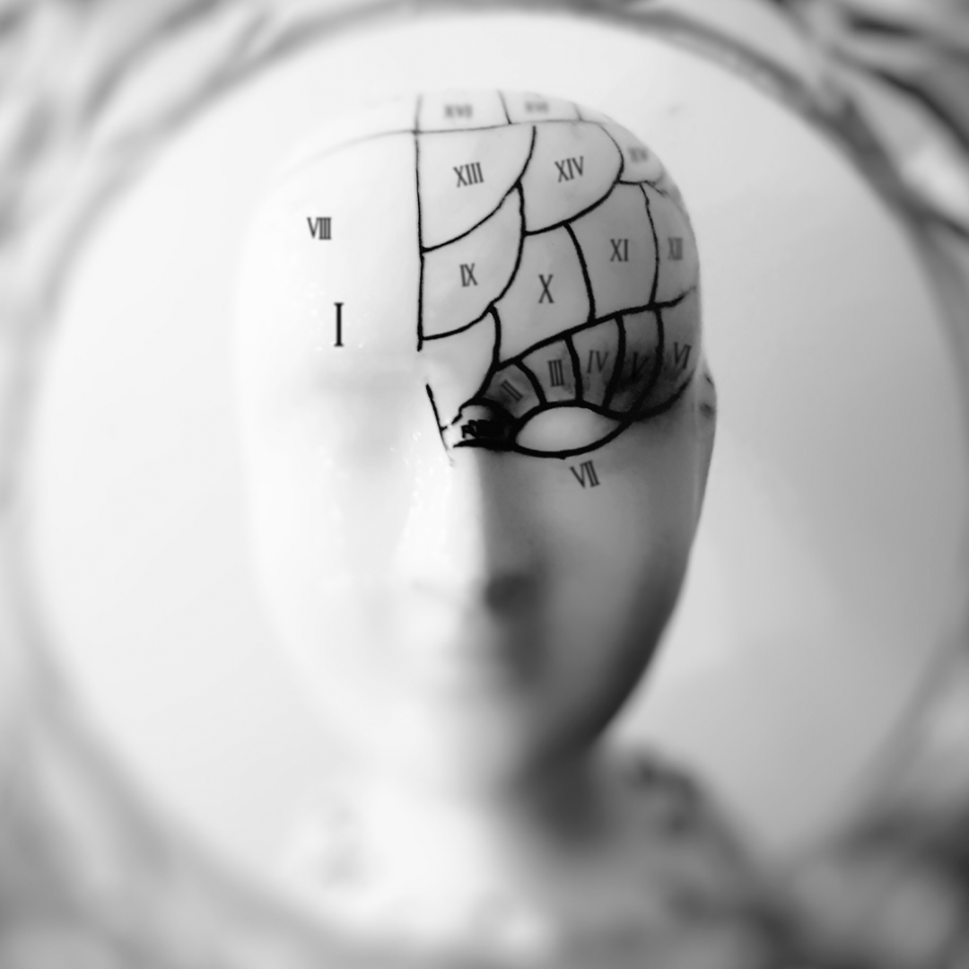 neurocognitiva 2025 pp