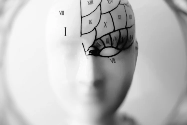 neurocognitiva 2025 pp